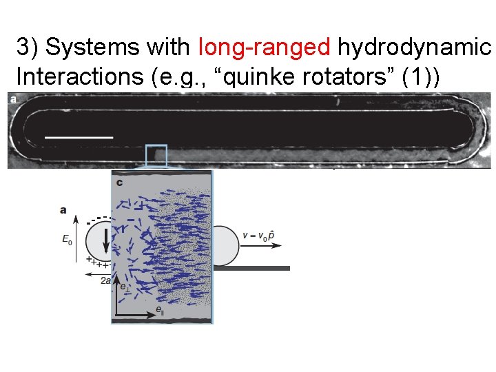 3) Systems with long-ranged hydrodynamic Interactions (e. g. , “quinke rotators” (1)) (1) A.