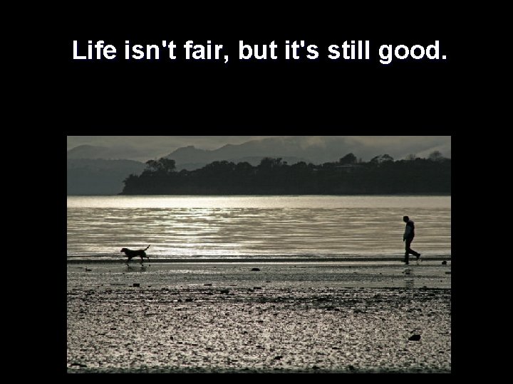  Life isn't fair, but it's still good. 