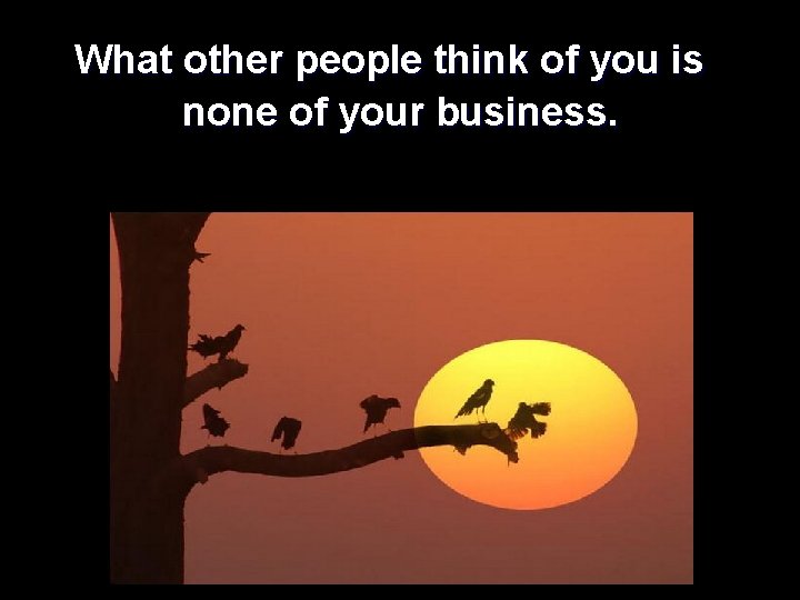 What other people think of you is none of your business. 