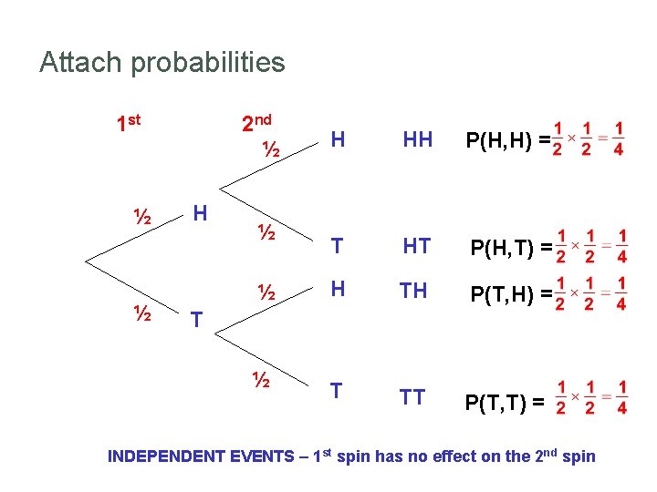 Attach probabilities 1 st ½ ½ 2 nd ½ H H HH P(H, H)