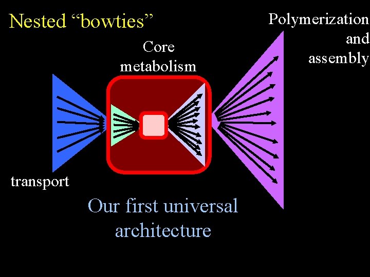 Nested “bowties” Core metabolism transport Our first universal architecture Polymerization and assembly 