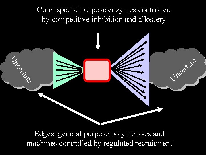 Core: special purpose enzymes controlled by competitive inhibition and allostery Un in rta ce