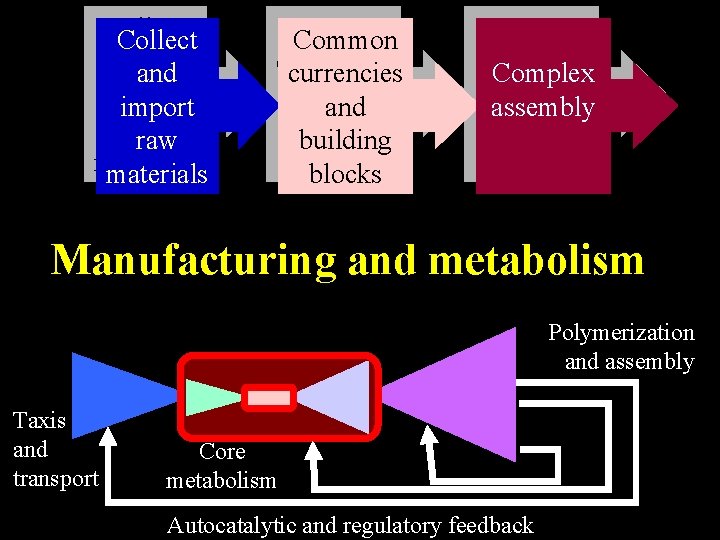 Collect and import raw materials Common currencies and building blocks Complex assembly Manufacturing and