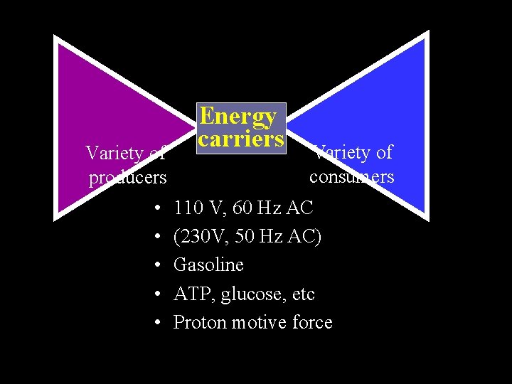 Variety of producers • • • Energy carriers Variety of consumers 110 V, 60