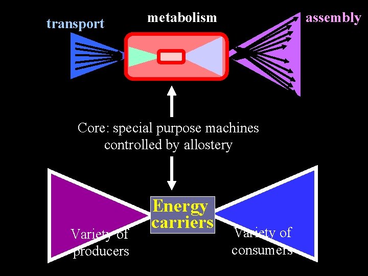 transport metabolism assembly Core: special purpose machines controlled by allostery Variety of producers Energy