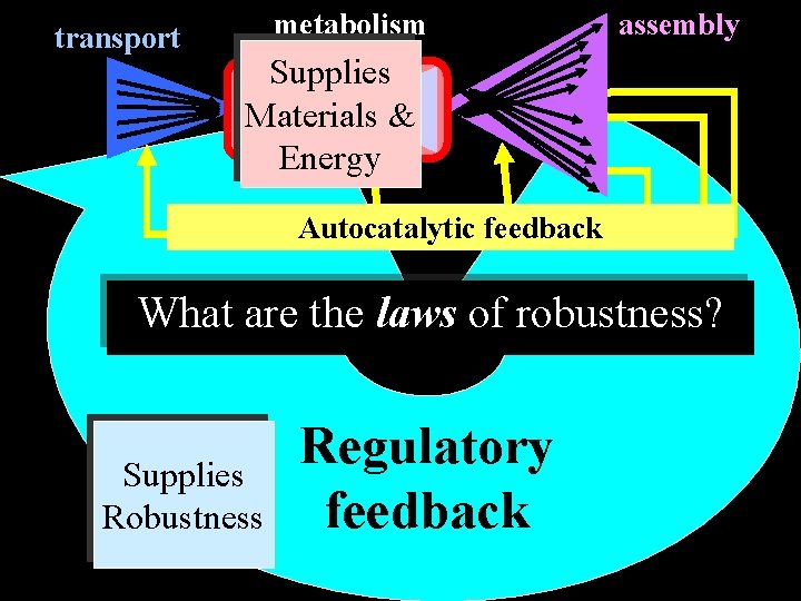 transport metabolism assembly Supplies Materials & Energy Autocatalytic feedback What are the laws of