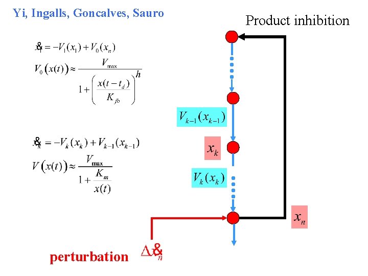 Yi, Ingalls, Goncalves, Sauro perturbation Product inhibition 