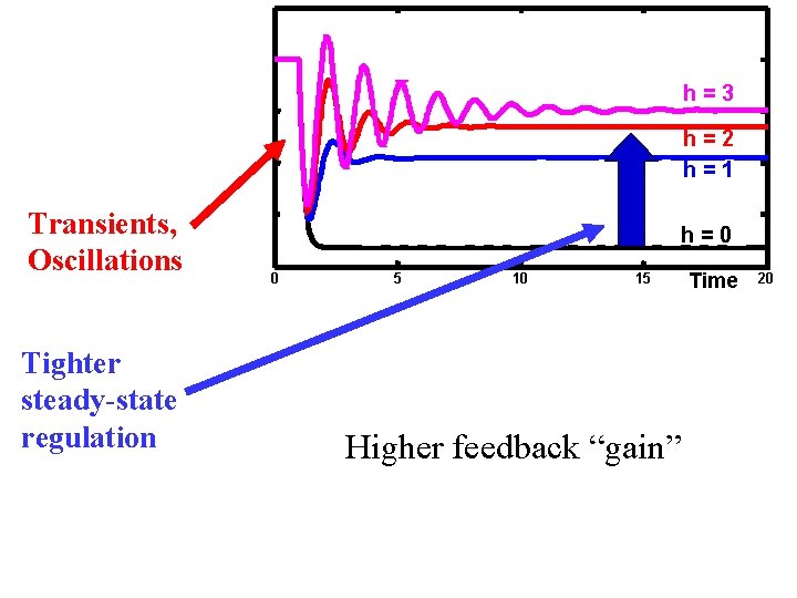 h=3 h=2 h=1 Transients, Oscillations Tighter steady-state regulation h=0 0 5 10 15 Higher