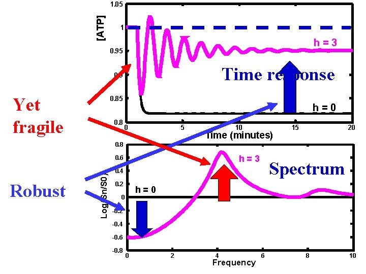 [ATP] 1. 05 1 h=3 0. 95 Time response 0. 9 Yet fragile 0.