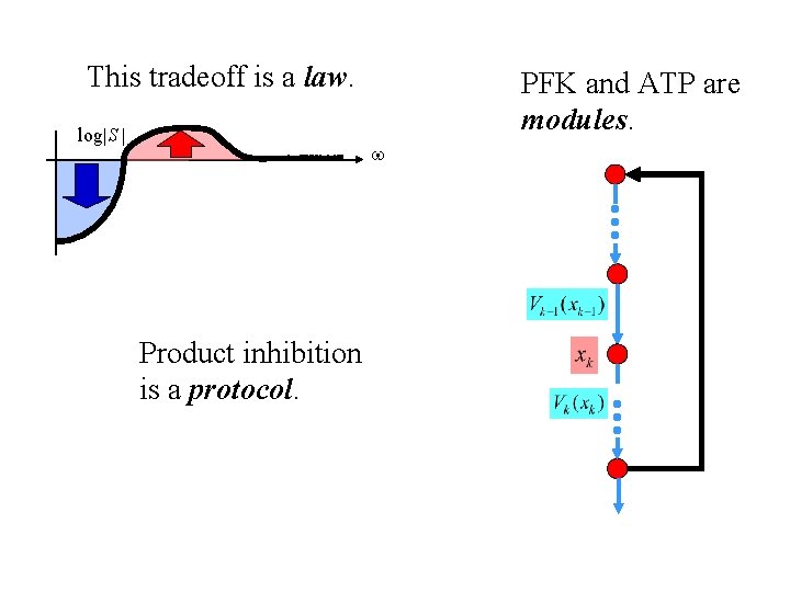 This tradeoff is a law. log|S | PFK and ATP are modules. Product inhibition