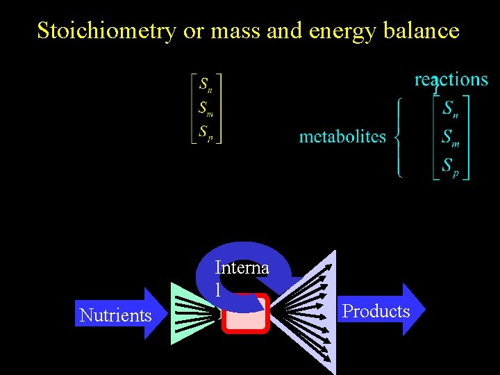 Stoichiometry or mass and energy balance Interna l Nutrients Products 