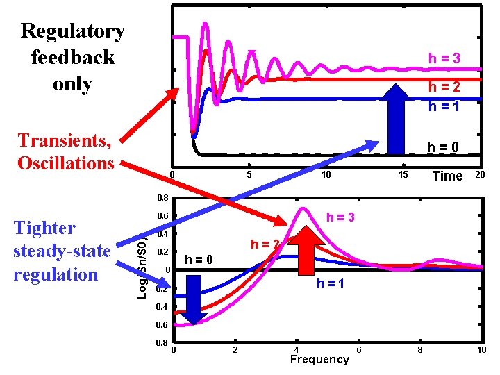 Regulatory feedback only h=3 Transients, Oscillations h=0 h=2 h=1 0 5 10 Time 15