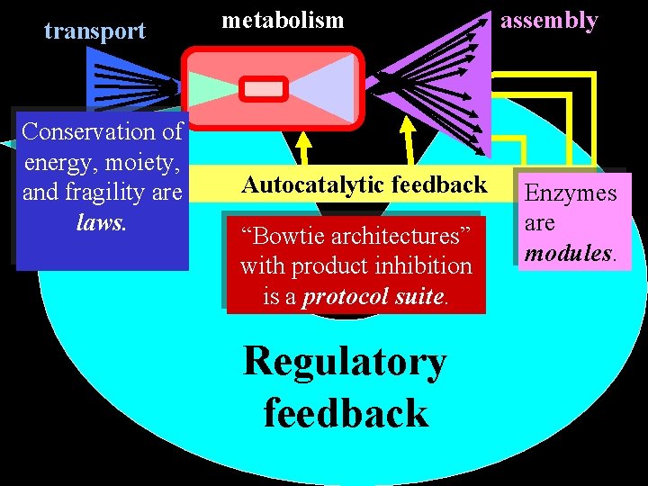 transport Conservation of energy, moiety, and fragility are laws. metabolism Autocatalytic feedback “Bowtie architectures”