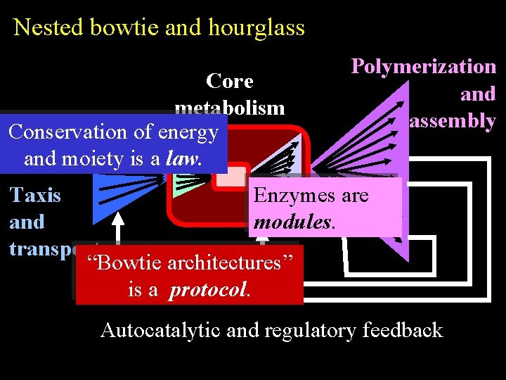 Nested bowtie and hourglass Core metabolism Conservation of energy and moiety is a law.