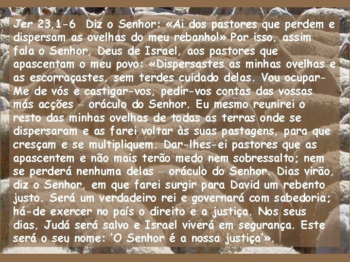 Jer 23, 1 -6 Diz o Senhor: «Ai dos pastores que perdem e dispersam