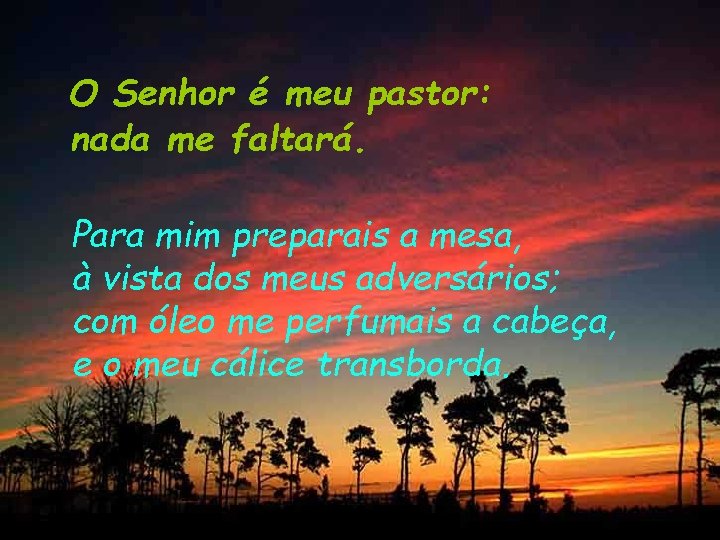O Senhor é meu pastor: nada me faltará. Para mim preparais a mesa, à