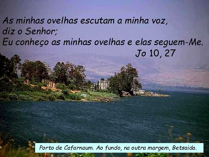 As minhas ovelhas escutam a minha voz, diz o Senhor; Eu conheço as minhas
