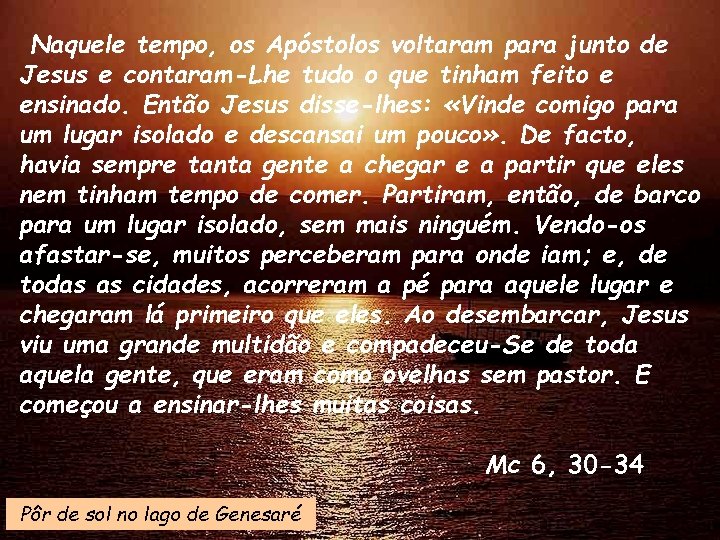 Naquele tempo, os Apóstolos voltaram para junto de Jesus e contaram-Lhe tudo o que
