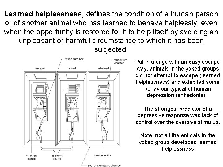 Learned helplessness, defines the condition of a human person or of another animal who