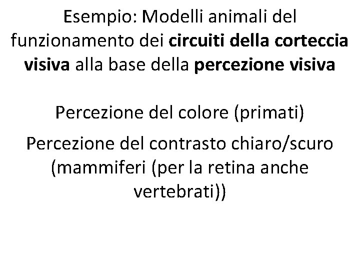 Esempio: Modelli animali del funzionamento dei circuiti della corteccia visiva alla base della percezione