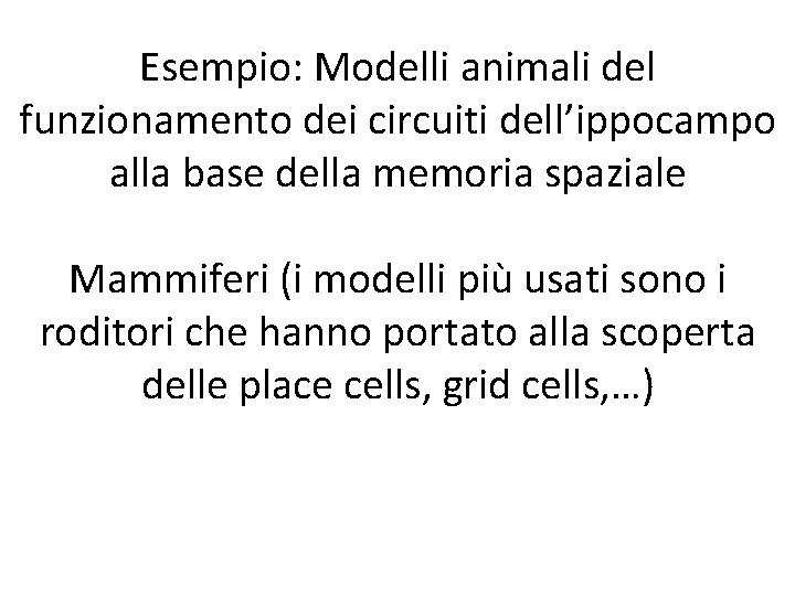Esempio: Modelli animali del funzionamento dei circuiti dell’ippocampo alla base della memoria spaziale Mammiferi