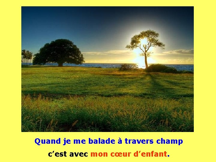 . . . Quand je me balade à travers champ c’est avec mon cœur