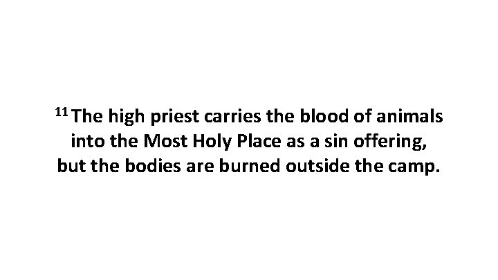 11 The high priest carries the blood of animals into the Most Holy Place