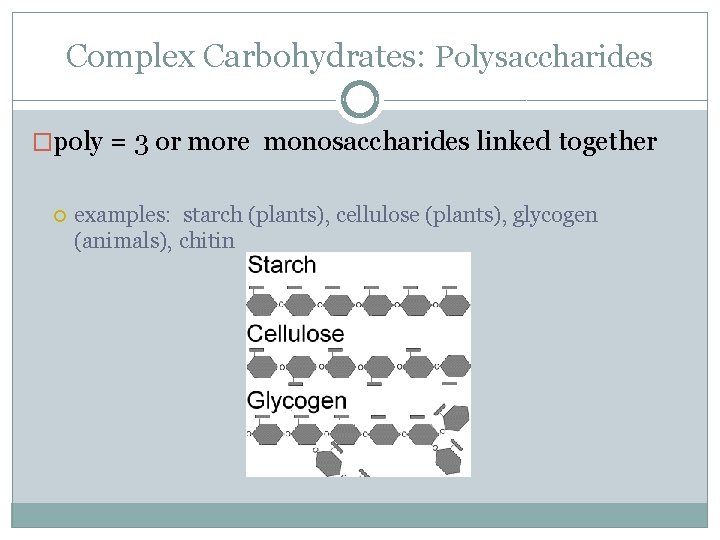 Complex Carbohydrates: Polysaccharides �poly = 3 or more monosaccharides linked together examples: starch (plants),