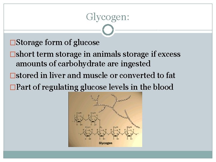 Glycogen: �Storage form of glucose �short term storage in animals storage if excess amounts