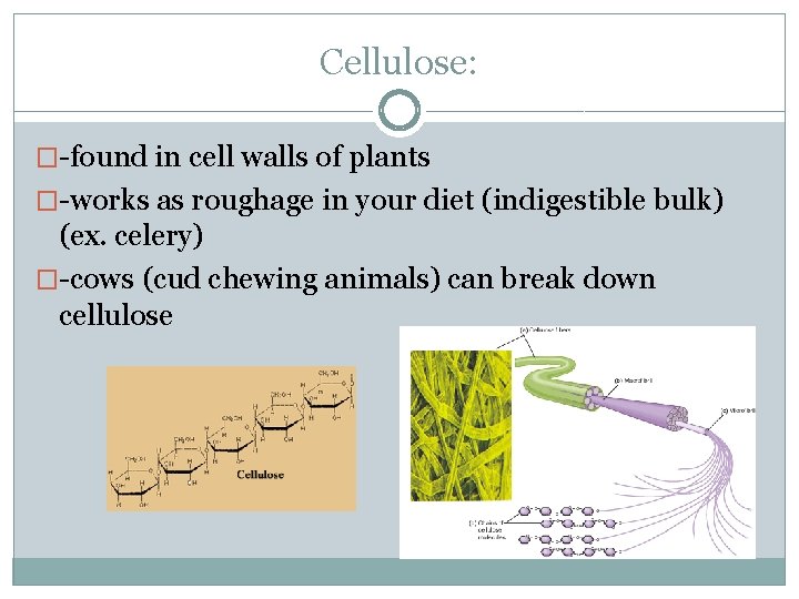 Cellulose: �-found in cell walls of plants �-works as roughage in your diet (indigestible