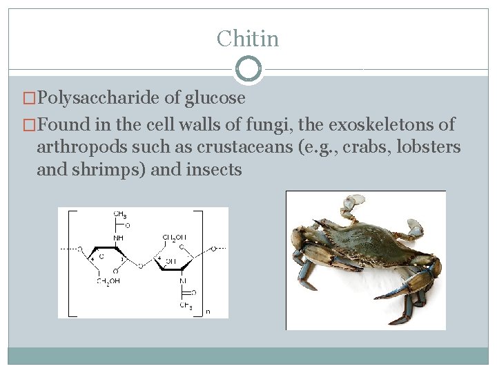 Chitin �Polysaccharide of glucose �Found in the cell walls of fungi, the exoskeletons of