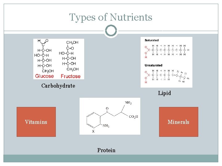 Types of Nutrients Carbohydrate Lipid Vitamins Minerals Protein 