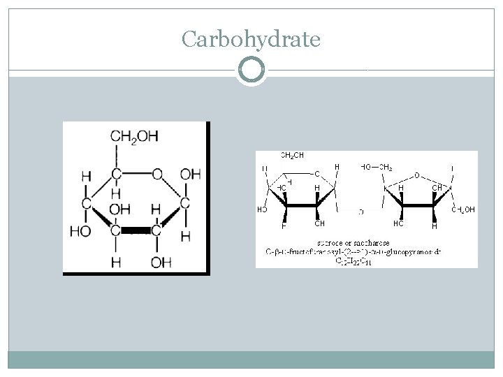 Carbohydrate 