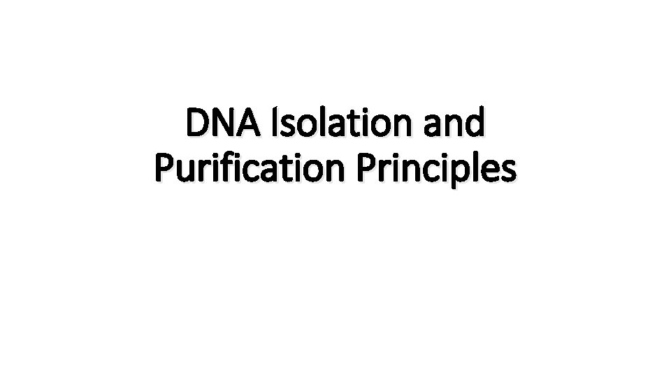 DNA Isolation and Purification Principles 