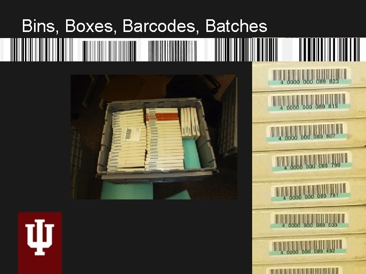 Bins, Boxes, Barcodes, Batches 21 