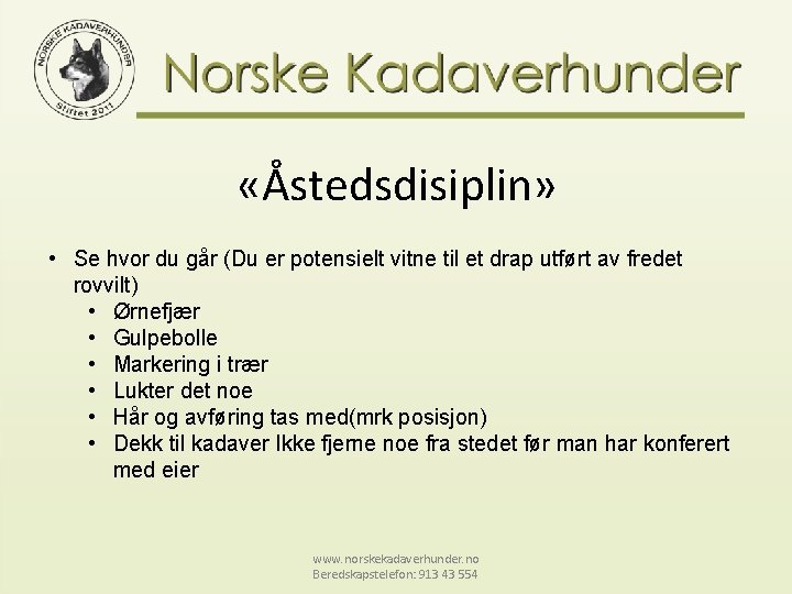  «Åstedsdisiplin» • Se hvor du går (Du er potensielt vitne til et drap