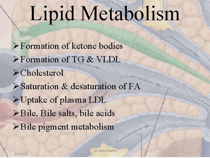 Lipid Metabolism Ø Formation of ketone bodies Ø Formation of TG & VLDL Ø