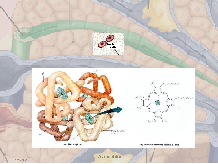 3/4/2021 Dr Jaria Fatahia 