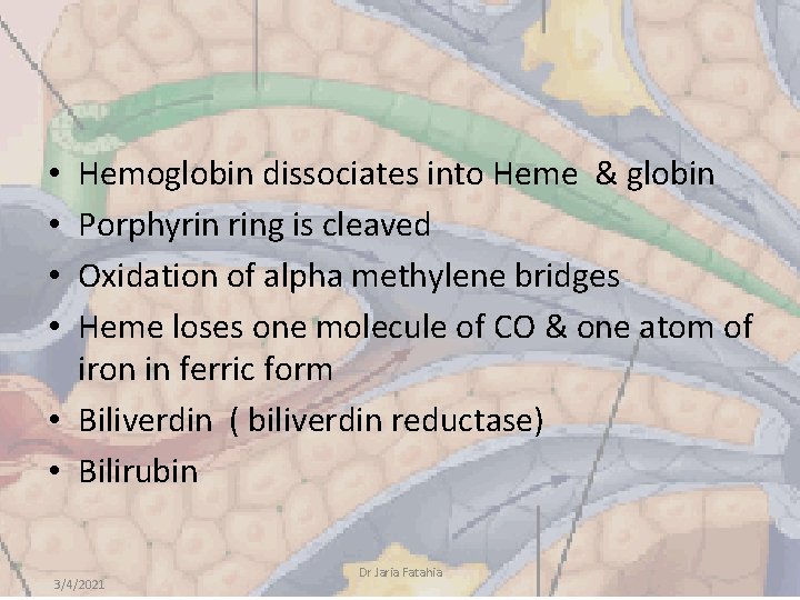 Hemoglobin dissociates into Heme & globin Porphyrin ring is cleaved Oxidation of alpha methylene