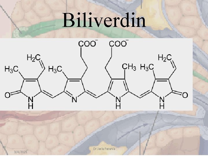 Biliverdin 3/4/2021 Dr Jaria Fatahia 
