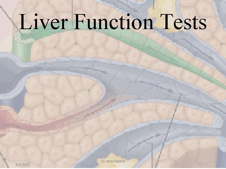 Liver Function Tests 3/4/2021 Dr Jaria Fatahia 