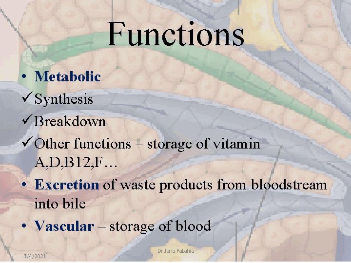 Functions • Metabolic ü Synthesis ü Breakdown ü Other functions – storage of vitamin