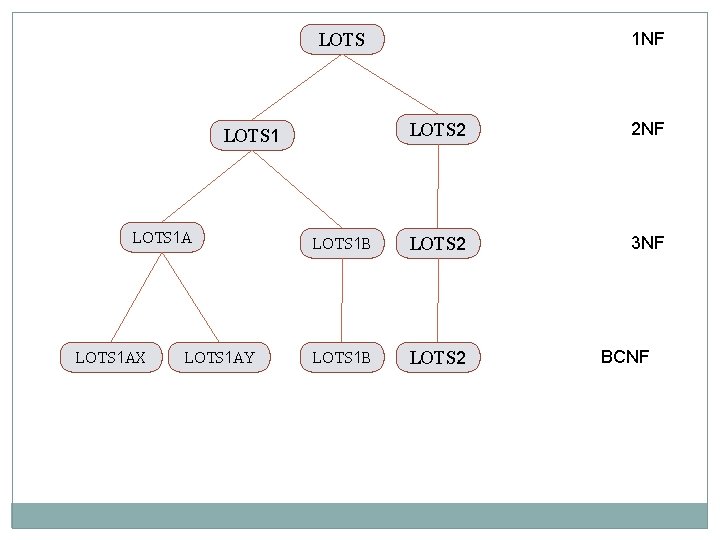 1 NF LOTS 2 2 NF LOTS 1 B LOTS 2 3 NF LOTS