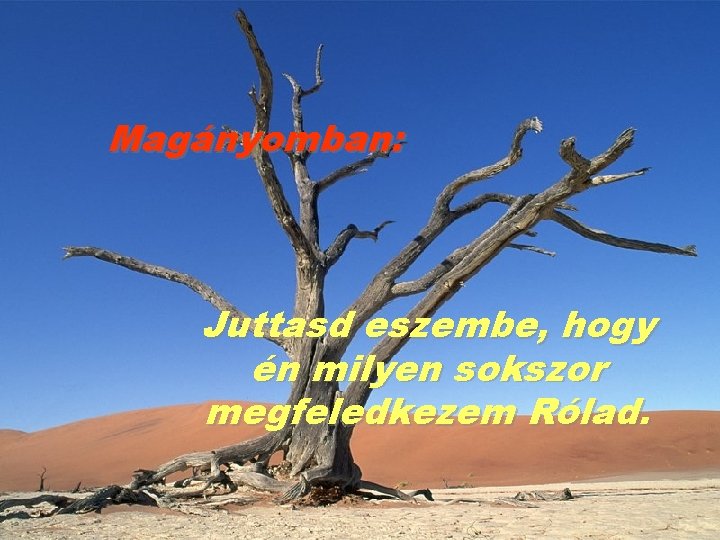 Magányomban: Juttasd eszembe, hogy én milyen sokszor megfeledkezem Rólad. 