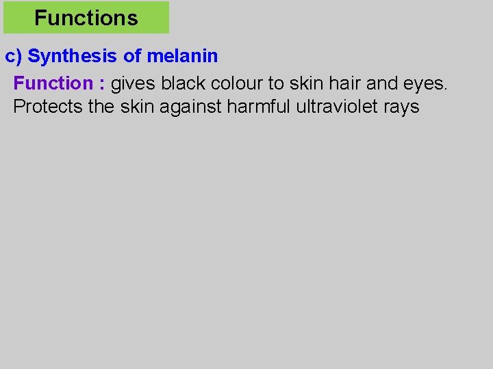 Functions c) Synthesis of melanin Function : gives black colour to skin hair and
