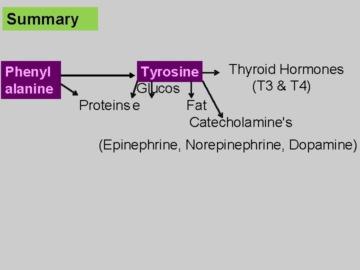 Summary Phenyl alanine Thyroid Hormones Tyrosine (T 3 & T 4) Glucos Fat Proteins