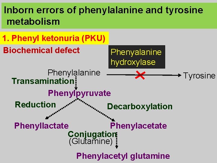 Inborn errors of phenylalanine and tyrosine metabolism 1. Phenyl ketonuria (PKU) Biochemical defect Phenyalanine