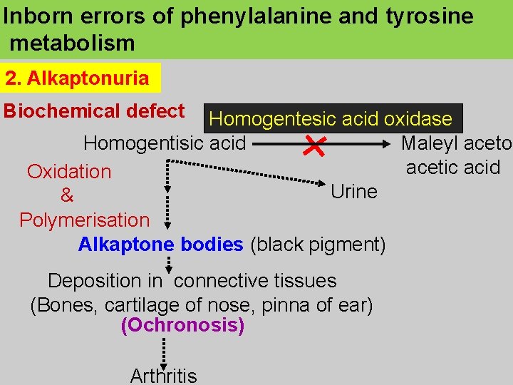 Inborn errors of phenylalanine and tyrosine metabolism 2. Alkaptonuria Biochemical defect Homogentesic acid oxidase