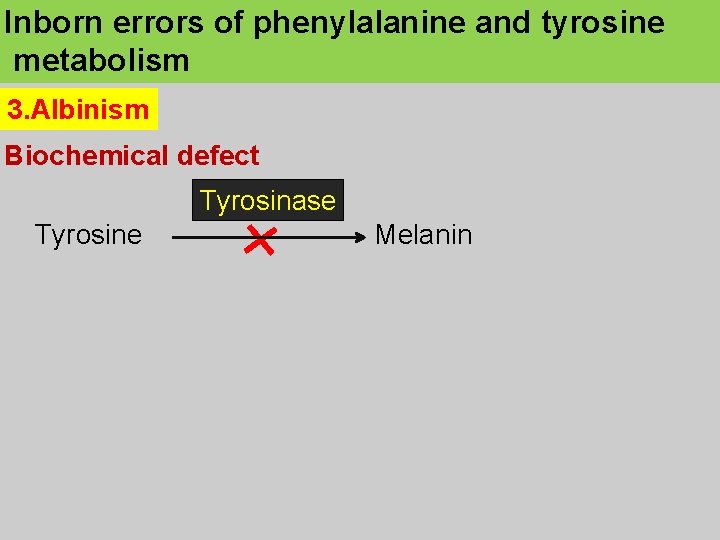 Inborn errors of phenylalanine and tyrosine metabolism 3. Albinism Biochemical defect Tyrosinase Tyrosine Melanin