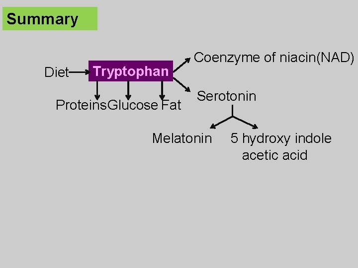 Summary Diet Tryptophan Proteins Glucose Fat Coenzyme of niacin(NAD) Serotonin Melatonin 5 hydroxy indole